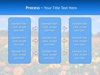 A Field Full Of Yellow And Orange Flowers PowerPoint Template