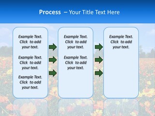 A Field Full Of Yellow And Orange Flowers PowerPoint Template