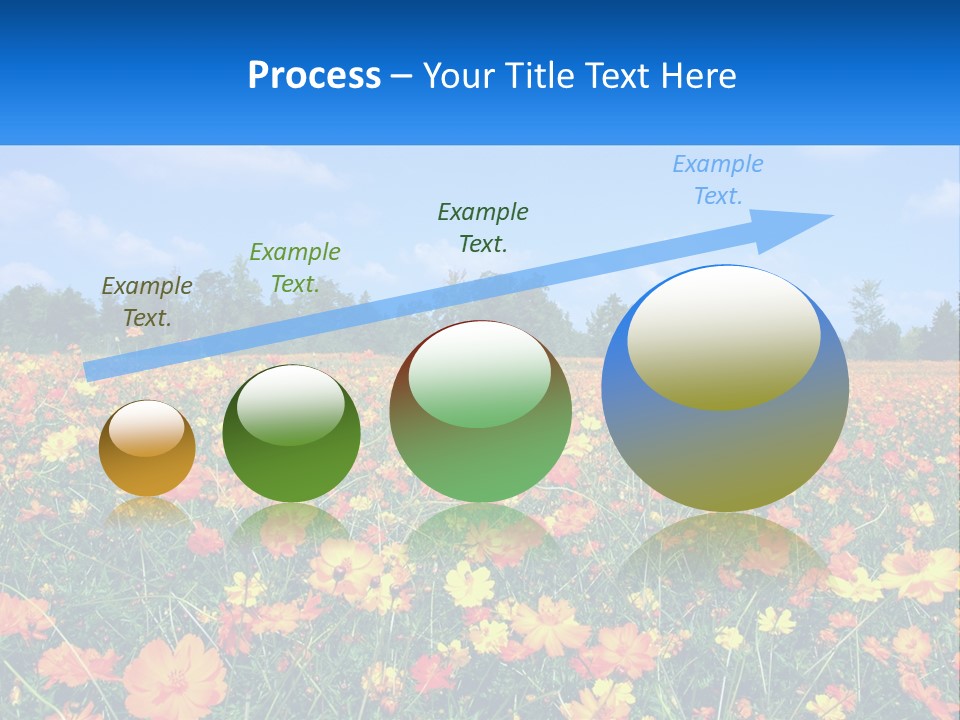 A Field Full Of Yellow And Orange Flowers PowerPoint Template