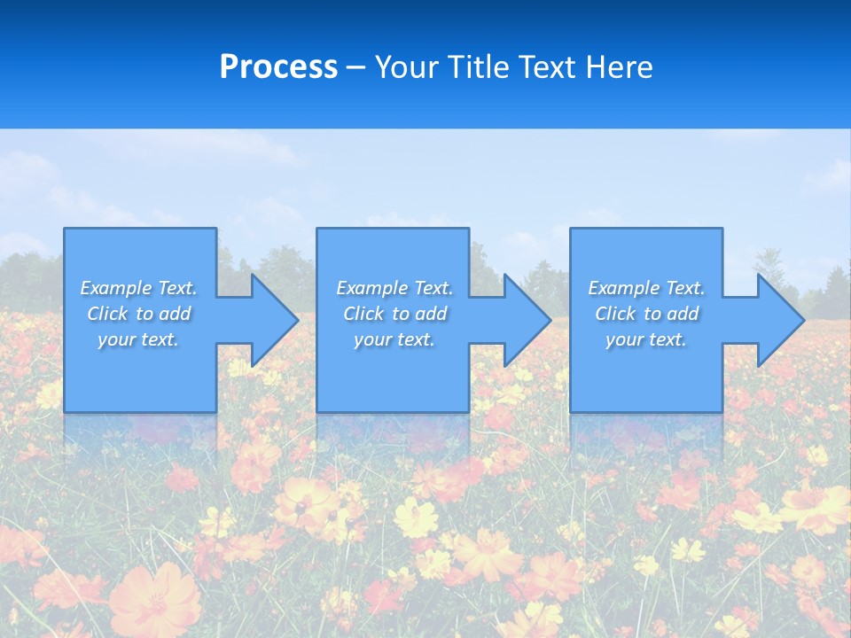 A Field Full Of Yellow And Orange Flowers PowerPoint Template