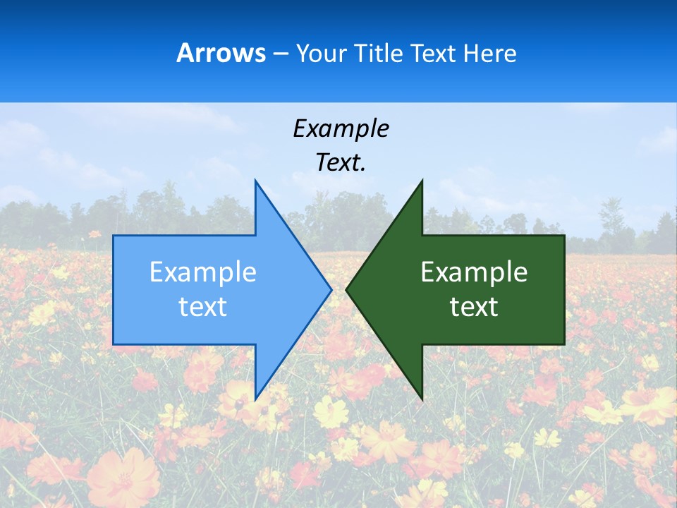 A Field Full Of Yellow And Orange Flowers PowerPoint Template