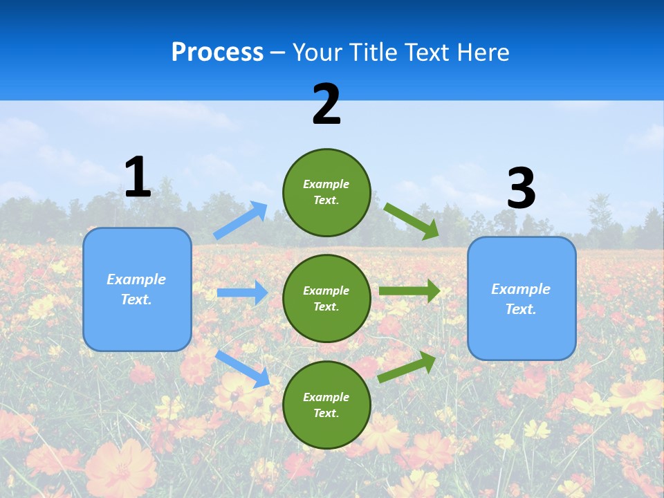 A Field Full Of Yellow And Orange Flowers PowerPoint Template