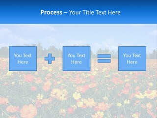 A Field Full Of Yellow And Orange Flowers PowerPoint Template