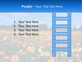 A Field Full Of Yellow And Orange Flowers PowerPoint Template