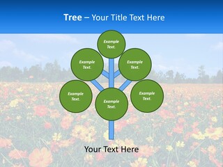 A Field Full Of Yellow And Orange Flowers PowerPoint Template