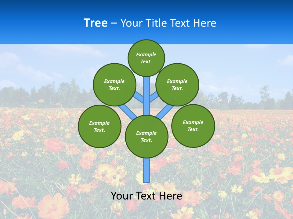 A Field Full Of Yellow And Orange Flowers PowerPoint Template