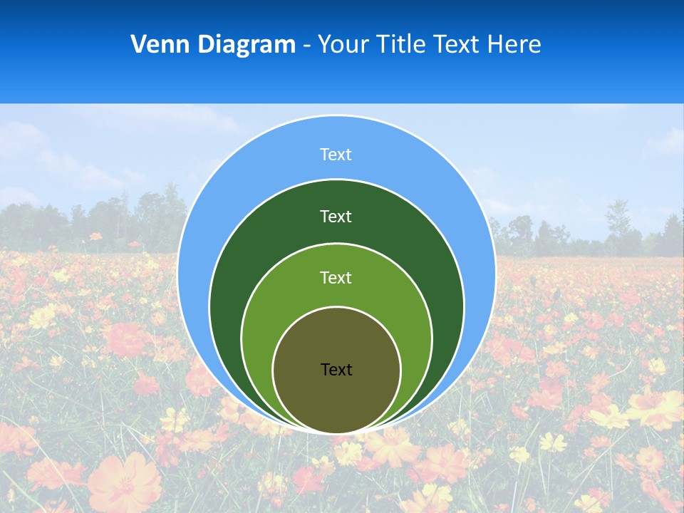 A Field Full Of Yellow And Orange Flowers PowerPoint Template