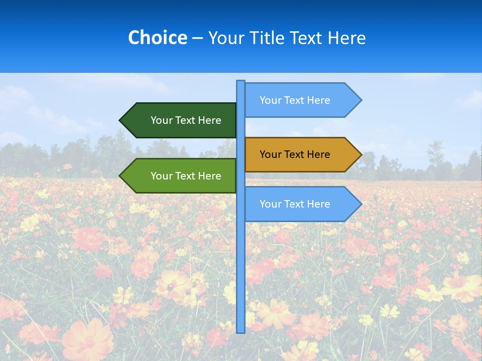 A Field Full Of Yellow And Orange Flowers PowerPoint Template