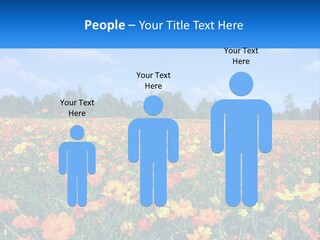 A Field Full Of Yellow And Orange Flowers PowerPoint Template