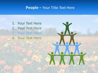 A Field Full Of Yellow And Orange Flowers PowerPoint Template