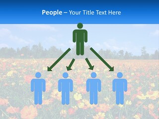A Field Full Of Yellow And Orange Flowers PowerPoint Template