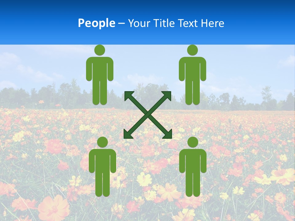 A Field Full Of Yellow And Orange Flowers PowerPoint Template