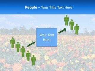 A Field Full Of Yellow And Orange Flowers PowerPoint Template