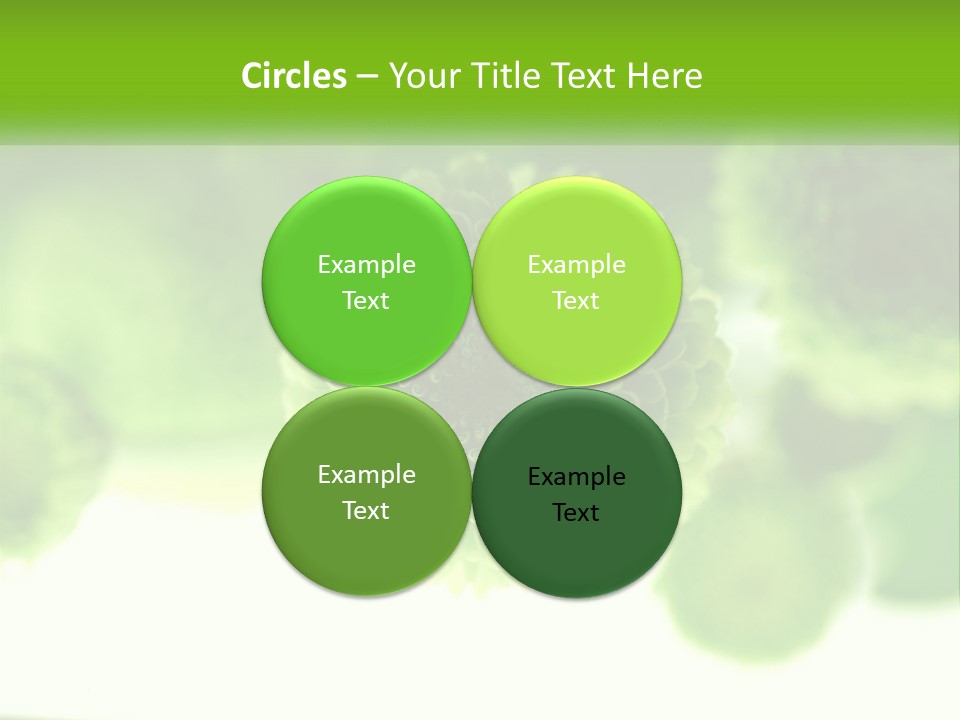 A Green Flower Powerpoint Presentation Template PowerPoint Template