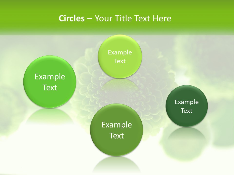 A Green Flower Powerpoint Presentation Template PowerPoint Template