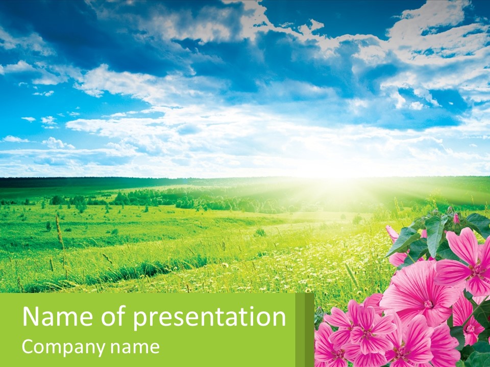 A Beautiful Green Field With Pink Flowers Powerpoint Template PowerPoint Template