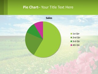 A Beautiful Green Field With Pink Flowers Powerpoint Template PowerPoint Template