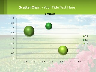 A Beautiful Green Field With Pink Flowers Powerpoint Template PowerPoint Template