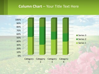 A Beautiful Green Field With Pink Flowers Powerpoint Template PowerPoint Template