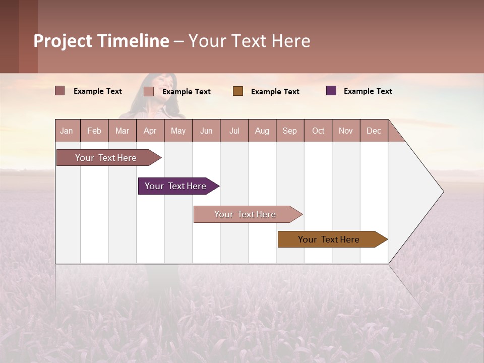 A Woman Standing In A Field Of Purple Flowers PowerPoint Template