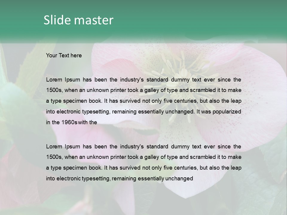 A Pink Flower With Green Leaves On It PowerPoint Template