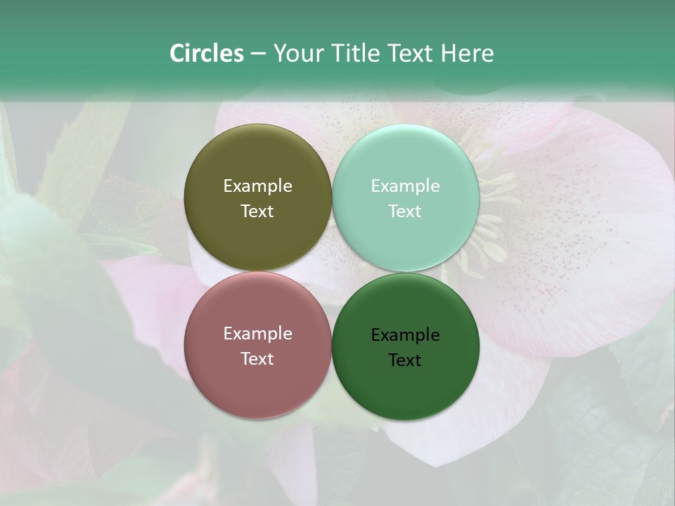 A Pink Flower With Green Leaves On It PowerPoint Template