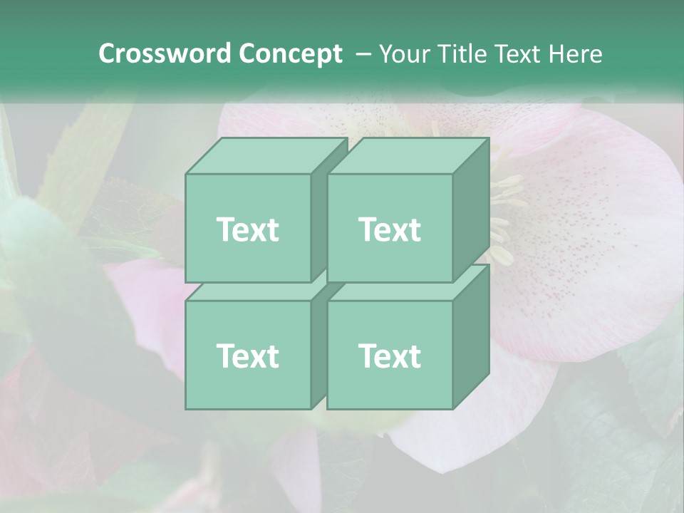 A Pink Flower With Green Leaves On It PowerPoint Template