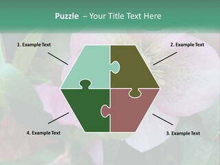 A Pink Flower With Green Leaves On It PowerPoint Template