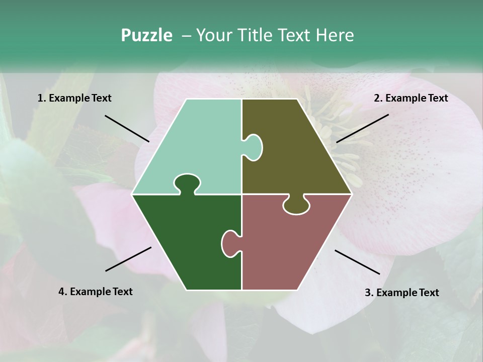 A Pink Flower With Green Leaves On It PowerPoint Template