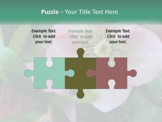 A Pink Flower With Green Leaves On It PowerPoint Template