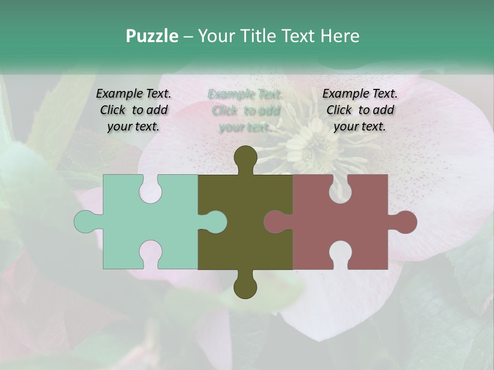 A Pink Flower With Green Leaves On It PowerPoint Template