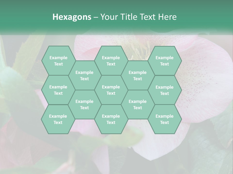 A Pink Flower With Green Leaves On It PowerPoint Template