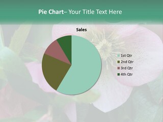 A Pink Flower With Green Leaves On It PowerPoint Template
