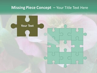 A Pink Flower With Green Leaves On It PowerPoint Template