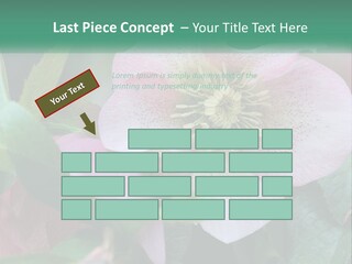 A Pink Flower With Green Leaves On It PowerPoint Template