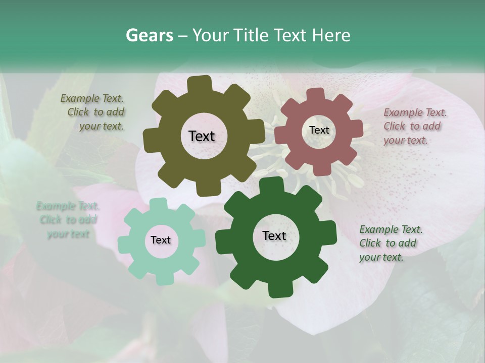 A Pink Flower With Green Leaves On It PowerPoint Template