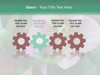 A Pink Flower With Green Leaves On It PowerPoint Template