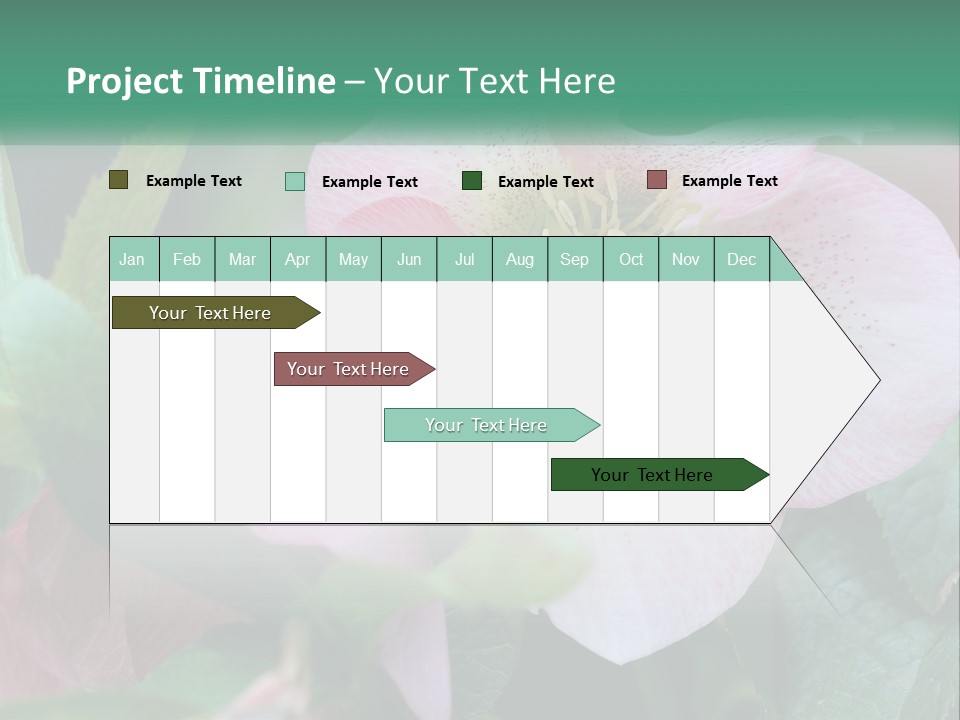 A Pink Flower With Green Leaves On It PowerPoint Template