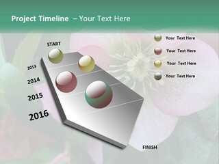 A Pink Flower With Green Leaves On It PowerPoint Template