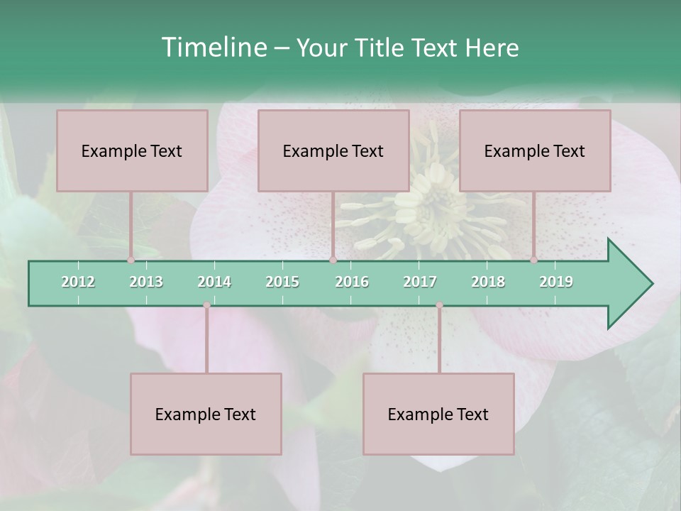 A Pink Flower With Green Leaves On It PowerPoint Template