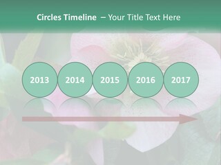 A Pink Flower With Green Leaves On It PowerPoint Template