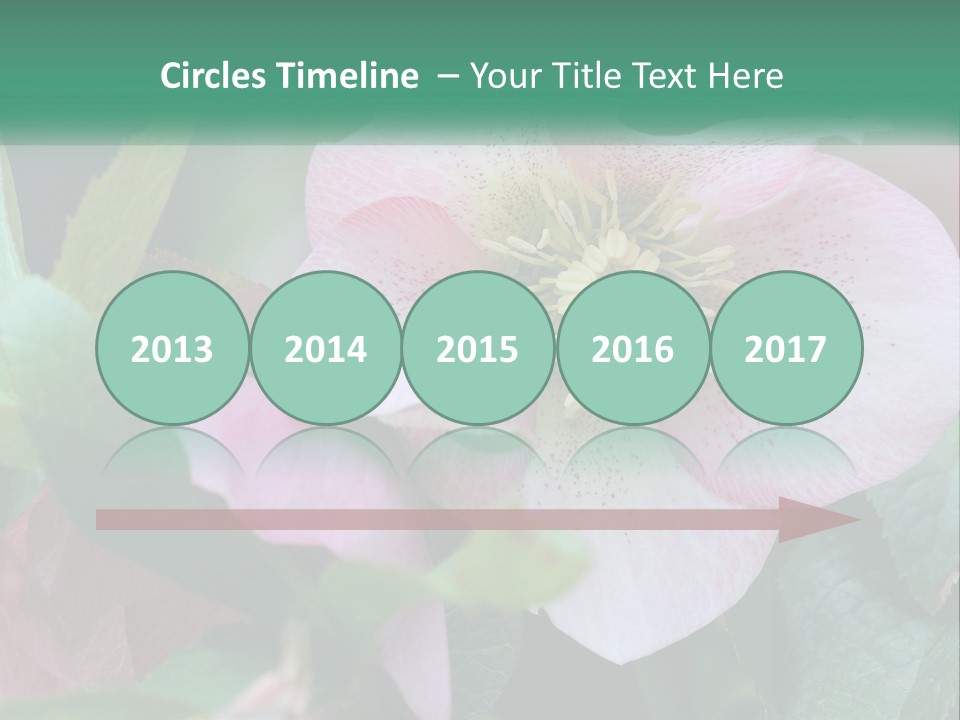 A Pink Flower With Green Leaves On It PowerPoint Template