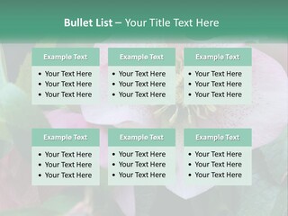 A Pink Flower With Green Leaves On It PowerPoint Template