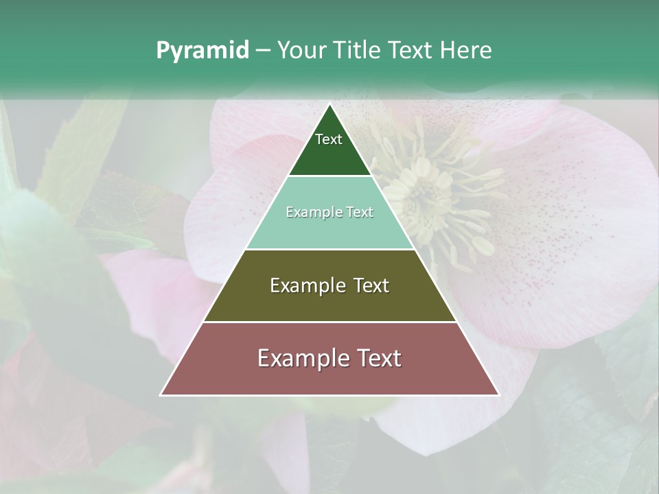 A Pink Flower With Green Leaves On It PowerPoint Template