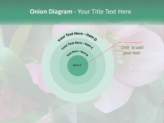 A Pink Flower With Green Leaves On It PowerPoint Template