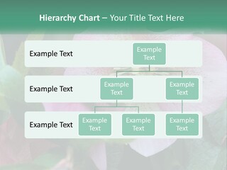 A Pink Flower With Green Leaves On It PowerPoint Template