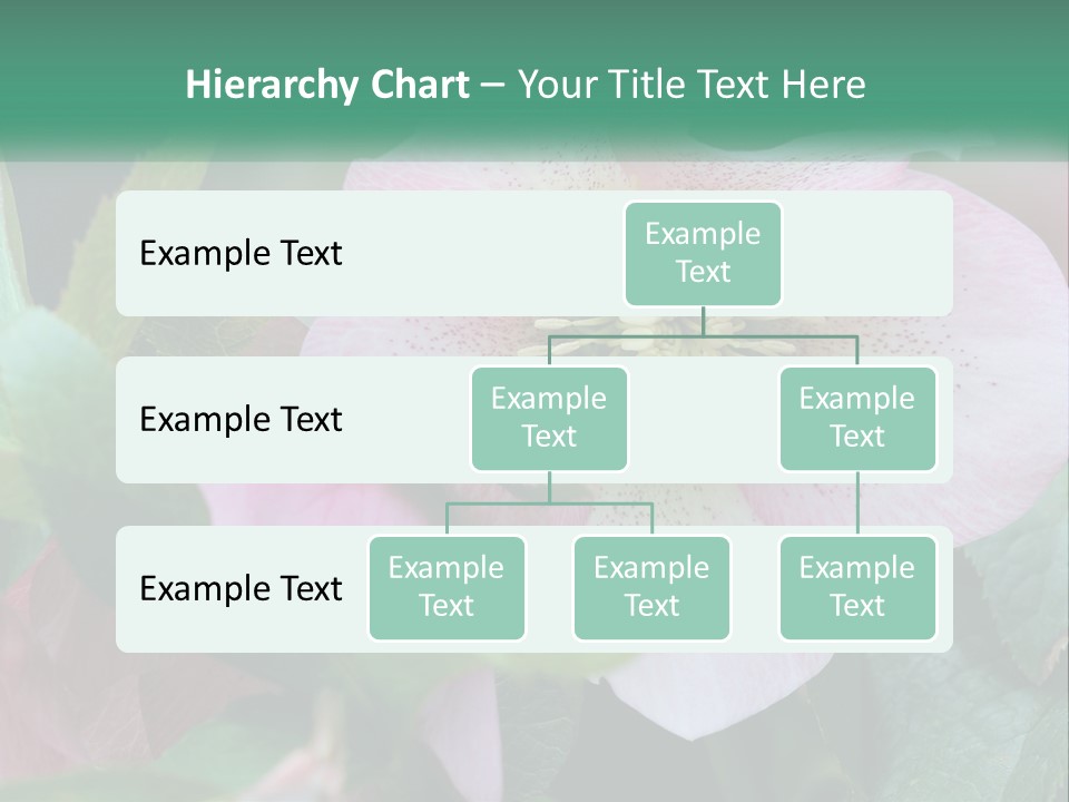 A Pink Flower With Green Leaves On It PowerPoint Template