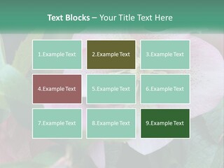 A Pink Flower With Green Leaves On It PowerPoint Template