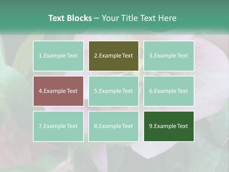 A Pink Flower With Green Leaves On It PowerPoint Template