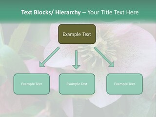 A Pink Flower With Green Leaves On It PowerPoint Template